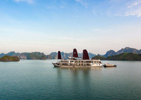 Orchid Trendy Cruise
