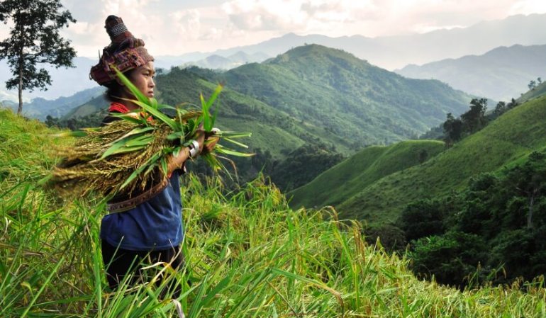Local activities in Muang Khua