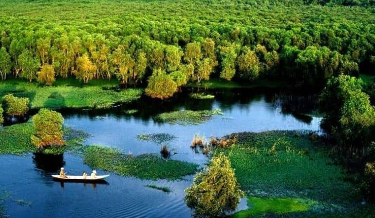 Tra su Melaleuca forest in Tra Giang, Vietnam