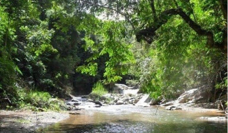 Chu mom ray national park in Kon Tum, Vietnam