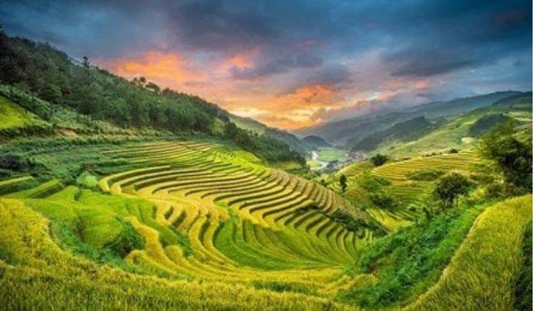 mu cang chai yen bai vietnam