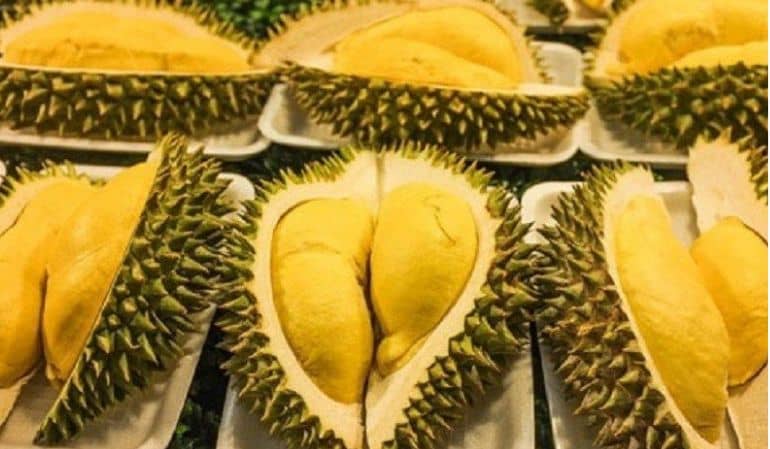 Ri 6 durian in vinh long, vietnam