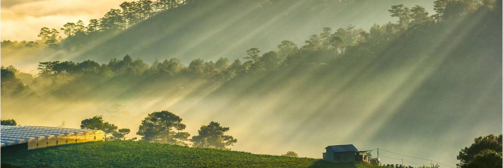 Places to Visit in Dalat