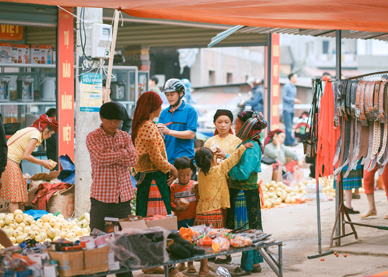 Vietnam Highland Explorer