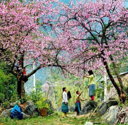 Amazing Northern Trail of Vietnam (Easy Trek)
