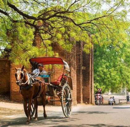 Bagan Horse Riding Tour Full Day