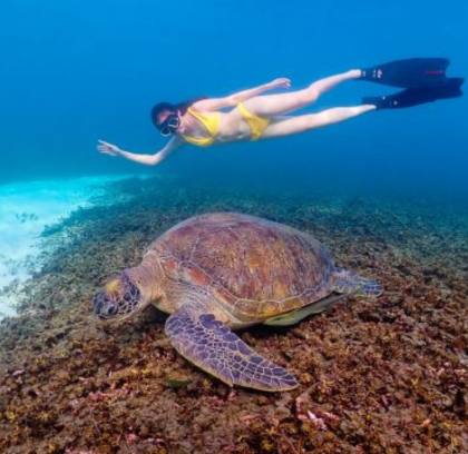 Central to South Thailand 12 Days