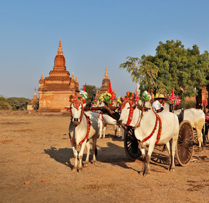 Myanmar Express
