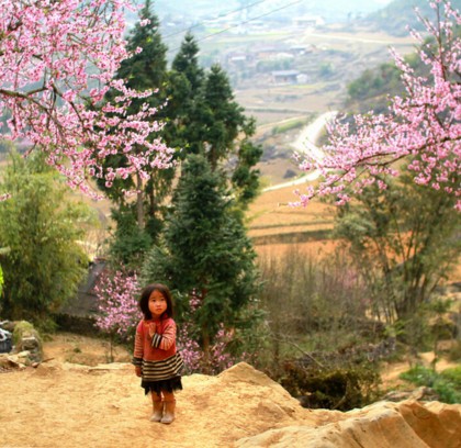 Explore North Vietnam in 2 Weeks